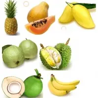 Dried Fruits