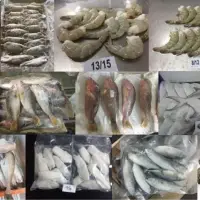 Frozen Seafood