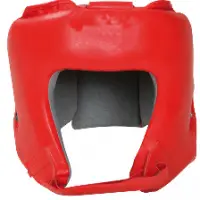 Head Guards