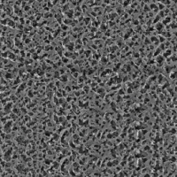 N66 Membrane