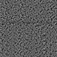 N66 Membrane