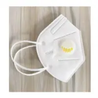 KN95 FFP2 Mask With Valve