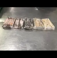 Fresh Water Fishes