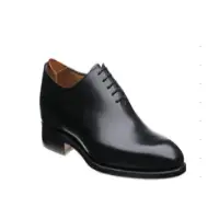 Formal Shoes Different Colors