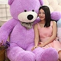 Soft Toys