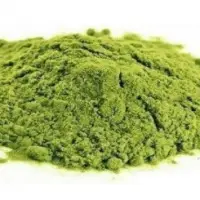 Mint Spice