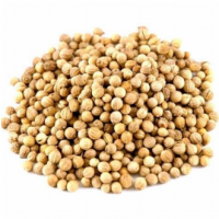 Coriander Seeds