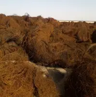 Burnt Tire Wire Scrap