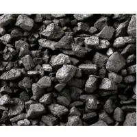 
Coal