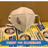 N95 Mask