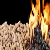 Biomass Energy