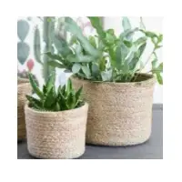 Jute Baskets