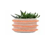 Jute + Cotton Baskets