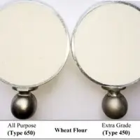 Wheat Flour