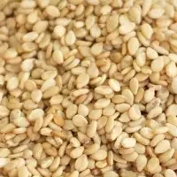 Sesame Seed