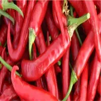 Red Chilli