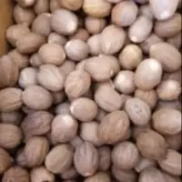 Nutmeg