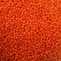 Red Lentils