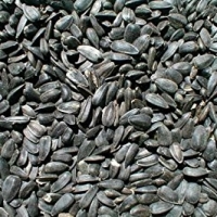 Sunflower Seeds