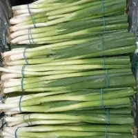 Spring Onions