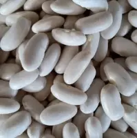 White Beans