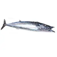 Waahoo Fish