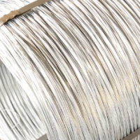 Hot-Dip Gal. Steel Wire for Cable Armoring