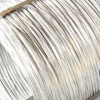 Hot-Dip Gal. Steel Wire for Cable Armoring