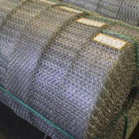Zinc Coated Steel Crimped Wire Mesh