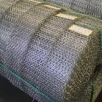 Zinc Coated Steel Crimped Wire Mesh