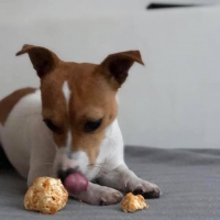 Dog Chew Puff