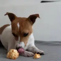 Dog Chew Puff