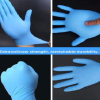 Vietnam Blue Pure Nitrile Exam Glove Powder Free