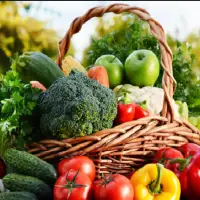 Fresh Vegetables