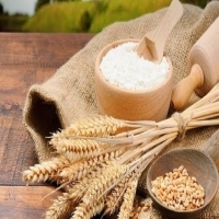 Wheat Flour