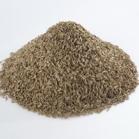 Cumin Seeds