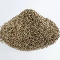 Cumin Seeds