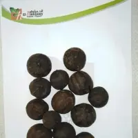 Naturally Dried Lemon