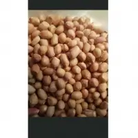 Peanut \ Ground Nut