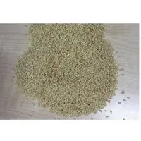 Sudanese Sasemi