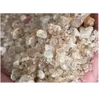 Sudanese Arabic Gum