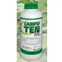 Campo Ten