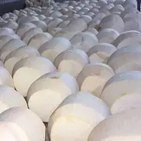 Fresh Coconut