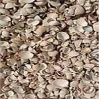 Raw Carbonate