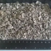 River Shell Crushed