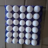 Fresh Hen Eggs
