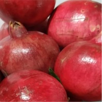 Pomegranate