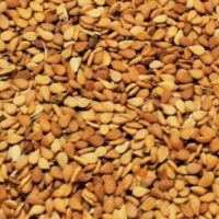 Red Sesame Oil