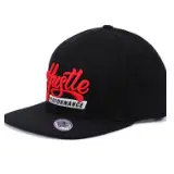 3d Puff Embroidery Hat