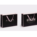 Gift Packaging Coated Paper Bag
